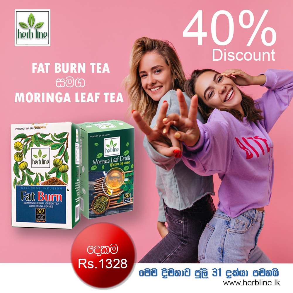 Moringa Leaf Tea Pack 
